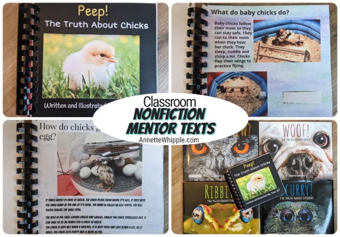 Writing mentor text collage
